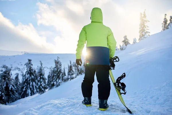 Vista trasera de snowboarder escalando con su tabla en el monte para sesión freeride backcountry en el bosque al atardecer. Hombre con snowboard caminando en la estación de esquí. Jinete traje de moda de cal . —  Fotos de Stock