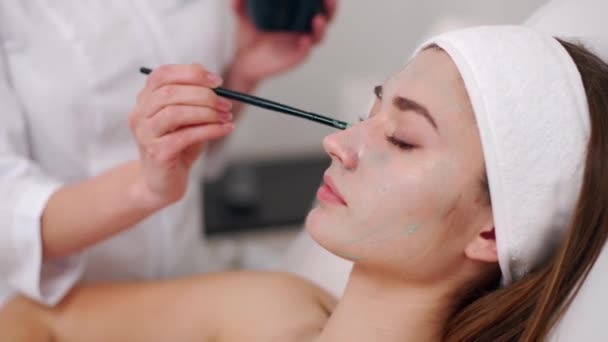 미용 전문의가 브러쉬를 사용하여 페이셜 마스크를 적용하여 피부를 촉촉하고 건강하게 만듭니다. 눈을 감고 스킨 케어 스파 절차를 즐기는 매력적인 여성. 미용사 에 작업. — 비디오