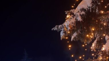 Noel ağaçlarında çelenk lambaları. Yılbaşı arifesinde sokaklardaki köknar ağaçlarının aydınlatılması. Kış gecesi. Karlı ladin dalları. Kar yağışı. Kar yağıyor. Statik çekim. Yakın plan..