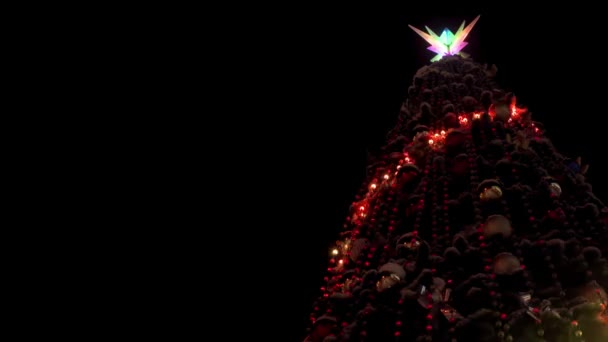 Gran árbol de Navidad con guirnaldas luminosas y decoraciones en la plaza de la ciudad en la noche nevada de invierno. Primer plano. Árbol de Año Nuevo decorado brillante lleno de decoraciones al aire libre. Un disparo estático. Copiar espacio . — Vídeos de Stock