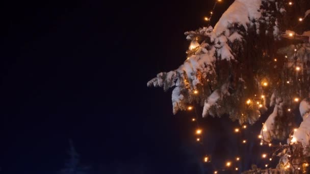 クリスマスツリーのガーランドランプライト。大晦日の通りのモミの木の上のお祭りの照明。冬の夜雪のトウヒの枝。降雪だ雪が降った。静的撮影。閉鎖. — ストック動画