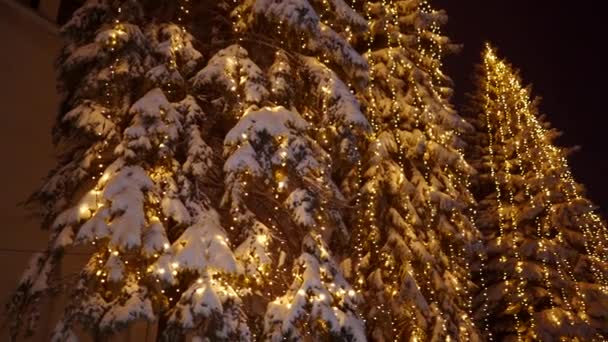 Garland lamp lights on Christmas trees. Festive illumination on the fir-trees at the streets on New Years Eve. Winter night. Snowy spruce branches. Snowfall. Snow falling down. — Stock Video