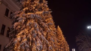 Noel ağaçlarında çelenk lambaları. Yılbaşı arifesinde sokaklardaki köknar ağaçlarının aydınlatılması. Kış gecesi. Karlı ladin dalları. Kar yağışı. Kar yağıyor..