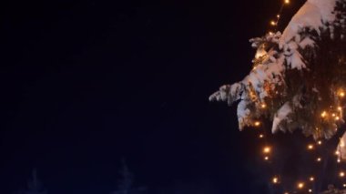 Noel ağaçlarında çelenk lambaları. Yılbaşı arifesinde sokaklardaki köknar ağaçlarının aydınlatılması. Kış gecesi. Karlı ladin dalları. Kar yağışı. Kar yağıyor. Sağ panorama.