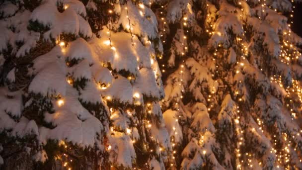 Garland lamp lights on Christmas trees. Festive illumination on the fir-trees at the streets on New Years Eve. Winter night. Snowy spruce branches. Snowfall. Snow falling down. Static shot. Close-up. — Stockvideo