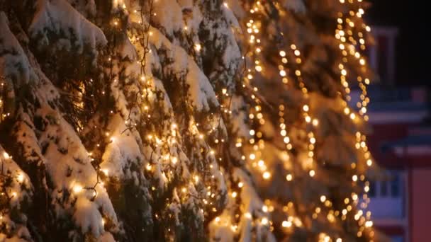 Luzes de lâmpada de guirlanda em árvores de Natal. Iluminação festiva nos abetos nas ruas na véspera de Ano Novo. Noite de inverno. Ramos de abeto nevado. Uma queda de neve. Neve a cair. Câmara inclinada para cima . — Vídeo de Stock