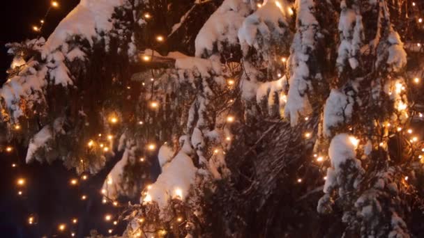 Garland lampa lampor på julgranar. Festlig belysning på granarna på gatorna på nyårsafton. Vinterkväll. Snöiga grangrenar. Snöfall. Snö faller ner. Vänster panorama — Stockvideo