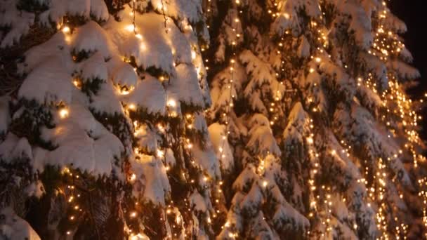 Garland lamp lights on Christmas trees. Festive illumination on the fir-trees at the streets on New Years Eve. Winter night. Snowy spruce branches. Snowfall. Snow falling down. Camera tilt up. — Stock Video