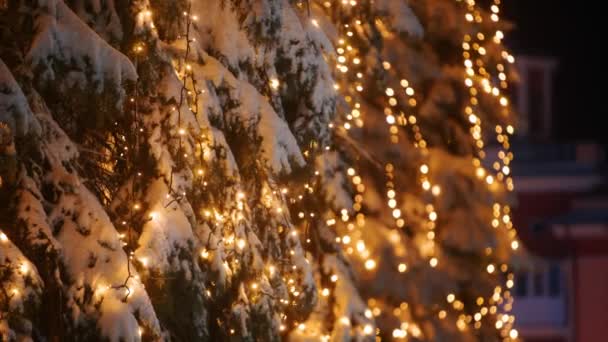 Noel ağaçlarında çelenk lambaları. Yılbaşı arifesinde sokaklardaki köknar ağaçlarının aydınlatılması. Kış gecesi. Karlı ladin dalları. Kar yağışı. Kar yağıyor. Sağ ve sol panorama. — Stok video