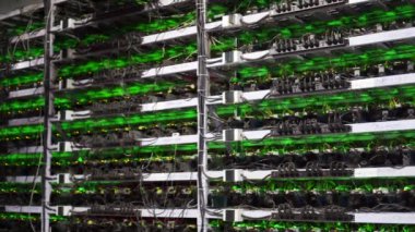 Büyük çiftlikteki kripto para madenciliği ekipmanları. ASIC madencileri sunucu odasında bitcoin 'i rafa kaldırıyor. Entegre devre engelleme teknolojisi uygulaması. Üçayaklı panorama.