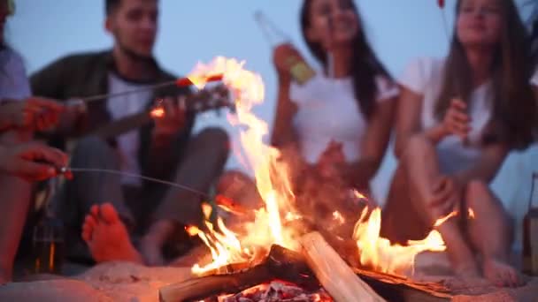 Vista próxima de amigos fritando salsichas sentadas em torno de fogueira, bebendo cerveja, tocando guitarra na praia de areia. Jovem grupo de homens e mulheres com bebidas cantando guitarra perto da fogueira ao entardecer. — Vídeo de Stock