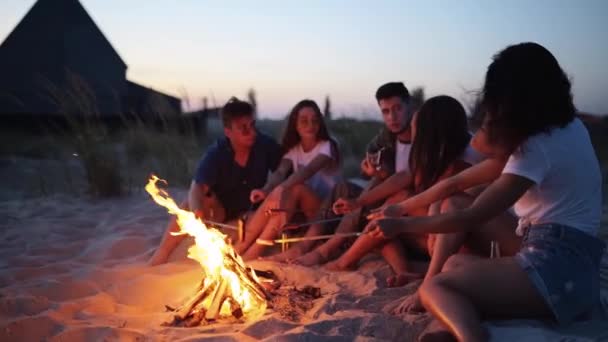 朋友们围坐在篝火边，喝啤酒，唱吉他，在沙滩上煎香肠。一群年轻的男女混血儿，一边喝酒一边唱歌，在暮色中，留着胡子的家伙在聚会上弹奏吉他. — 图库视频影像