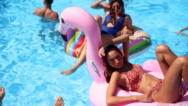 Os amigos que refrigeram na piscina privada da casa de campo, encontram-se no sol no flamingo inflável, cisne, flutuadores. Os jovens relaxam na festa no resort de luxo no dia ensolarado. Meninas de biquíni tomando banho de sol. Movimento lento. — Vídeo de Stock