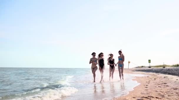 Eine Gruppe hübscher Freundinnen läuft in Badeanzügen am Meer entlang am tropischen Sandstrand. Interrassische Frauen im Bikini haben Spaß beim Bräunen an einem Sommertag im Freien. Mädchen in Badebekleidung laufen in Zeitlupe. — Stockvideo