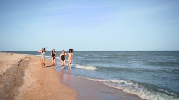 Bir grup güzel bayan arkadaş deniz kenarında mayo giymiş tropik kumsalda koşuyorlar. Bikinili ırklar arası kadınlar yaz günü açık havada bronzlaşır. Mayolu kızlar ağır çekimde koşar.. — Stok video