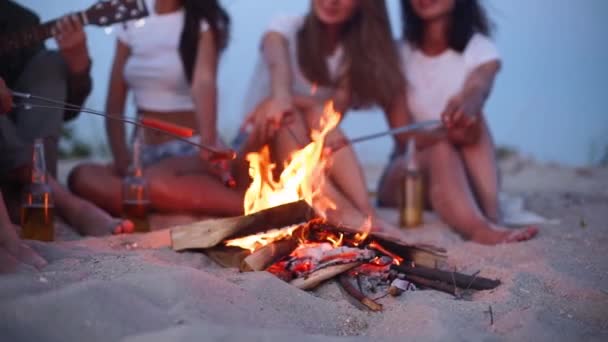 Vista cercana de amigos freír salchichas sentados alrededor de la hoguera, beber cerveza, tocar la guitarra en la playa de arena. Joven grupo de hombres y mujeres con bebida singalong tocando la guitarra cerca de la fogata en el atardecer. — Vídeo de stock