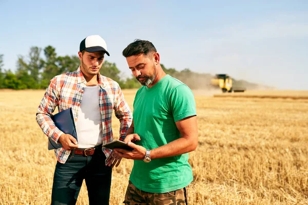 Dva farmáři stojí na poli s pšeničnými strništi, diskutují o sklizni, úrodě. Senior agronomista s dotekem tablet PC učí mladé kolegy. Inovativní technologie. Precision farming with online data management soft. — Stock fotografie