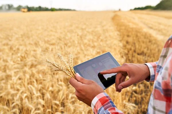 Přesné farmaření. Farmer hands hold tablet using online data management software with maps at wheat field. Agronomista pracující s dotykovým počítačem pro řízení a analýzu zemědělského podnikání. — Stock fotografie