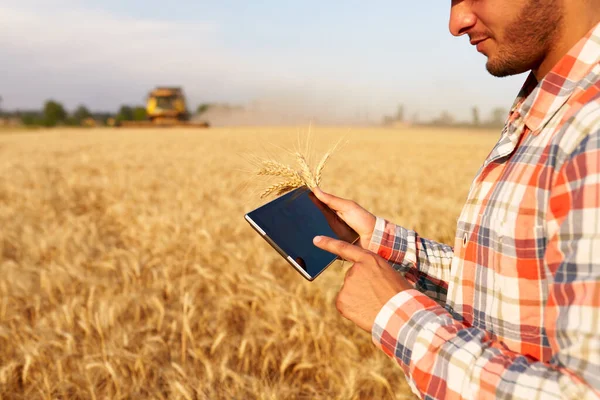 Agricultura de precisión. Las manos del agricultor sostienen la tableta utilizando software de gestión de datos en línea con mapas en el campo de trigo. Agrónomo que trabaja con pantalla táctil para controlar y analizar el negocio agrícola. — Foto de Stock