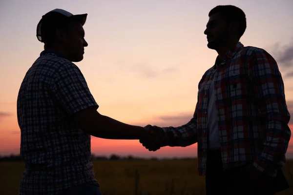 Bauern und Agronomen schütteln sich nach der Einigung in der Dämmerung auf einem Weizenfeld die Hände. Vertragskonzept für die Landwirtschaft. Mähdrescherfahrer und Rancher per Handschlag. Verhandlungen. — Stockfoto