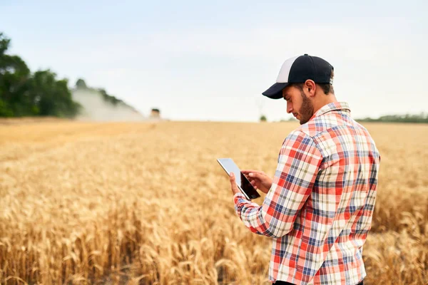 Agricultura inteligente utilizando tecnologías modernas en la agricultura. Hombre agrónomo agricultor sosteniendo tableta digital de pie en un campo de trigo y el uso de aplicaciones, Internet para la gestión de empresas y análisis . —  Fotos de Stock