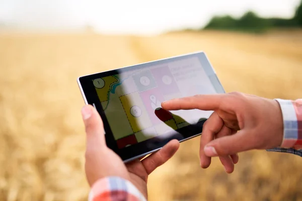 Rolnictwo precyzyjne. Rolnicy trzymają tablet za pomocą oprogramowania do zarządzania danymi online z mapami na polu pszenicy. Agronomist pracuje z ekranem dotykowym do kontroli i analizy działalności rolniczej. — Zdjęcie stockowe