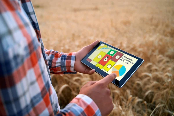 精確な農業。農家は、地図、小麦畑のチャートとオンラインデータ管理ソフトウェアを使用してタブレットを保持しています。農業ビジネスを制御し、分析するためにタッチパソコンの画面で作業する農学者 — ストック写真
