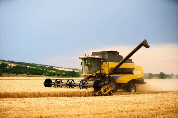 小麦畑で作業している収穫機と曇り空を組み合わせてください。農地で機械運転者の切断作物を収穫する。農業のテーマ、収穫期. — ストック写真