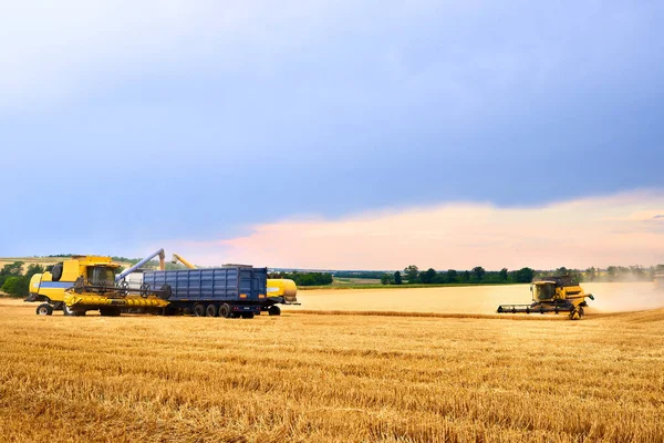コンバイン収穫機からの穀物を現場の穀物トラックにオーバーロードする。収穫した小麦だけを穀物箱体に注ぎ込む下の収穫者。仕事中の農家。収穫期のテーマ. — ストック写真