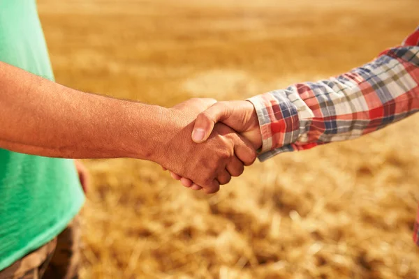 Bauern und Agronomen schütteln sich nach der Einigung in der Dämmerung auf einem Weizenfeld die Hände. Vertragskonzept für die Landwirtschaft. Mähdrescherfahrer und Rancher per Handschlag. Verhandlungen. — Stockfoto