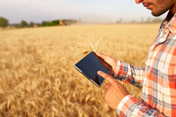 Přesné farmaření. Farmer hands hold tablet using online data management software with maps at wheat field. Agronomista pracující s dotykovým počítačem pro řízení a analýzu zemědělského podnikání. — Stock fotografie