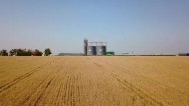 Buğday tarlasının önündeki tahıl asansörü. Quadcopter drone kamerası un ya da petrol fabrikasına doğru uçuyor. Çiftlik arazisinin yakınındaki silolar. Tarım teması, hasat mevsimi. Dolly içeri..