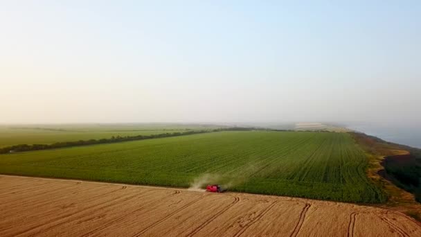 Aérien de moissonneuse batteuse travaillant dans le champ de blé près de falaise avec vue sur la mer au coucher du soleil. Récolte machine de coupe des cultures dans les terres agricoles près de l'océan. Agriculture, saison de récolte. Paysage étonnant pittoresque.