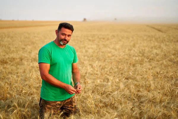 Agronomist examining cereal crop before harvesting sitting in golden field. Smiling farmer holding a bunch of ripe cultivated wheat ears in hands. Rancher at work. Organic farming concept.