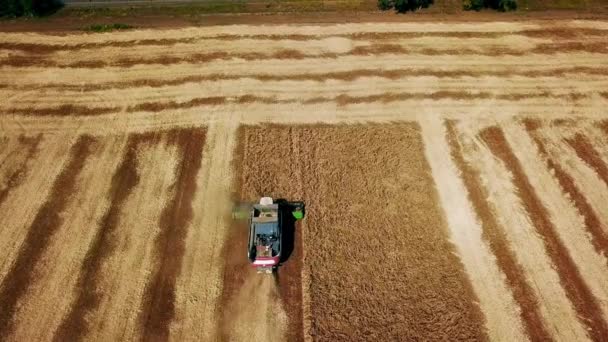 Drohnenbild aus der Luft: Mähdrescher bei der Arbeit auf einem Sojabohnenfeld bei Sonnenuntergang. Erntemaschinen-Fahrer schneiden Getreide auf landwirtschaftlichen Flächen. Biologischer Sojaanbau. Landwirtschaft, Erntezeit. Quadcopter-Video. — Stockvideo