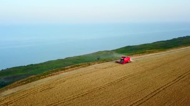 Aérien de moissonneuse batteuse travaillant dans le champ de blé près de falaise avec vue sur la mer au coucher du soleil. Récolte machine de coupe des cultures dans les terres agricoles près de l'océan. Agriculture, saison de récolte. Paysage étonnant pittoresque.