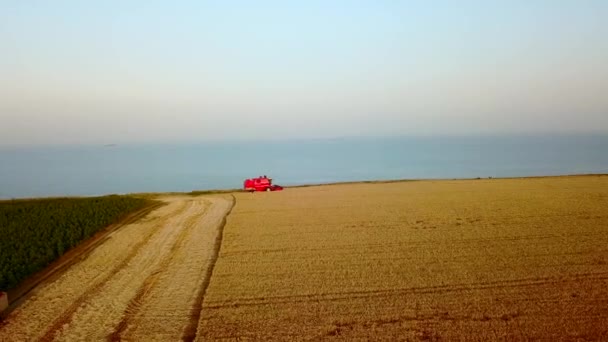 Aérien de moissonneuse batteuse travaillant dans le champ de blé près de falaise avec vue sur la mer au coucher du soleil. Récolte machine de coupe des cultures dans les terres agricoles près de l'océan. Agriculture, saison de récolte. Paysage étonnant pittoresque.