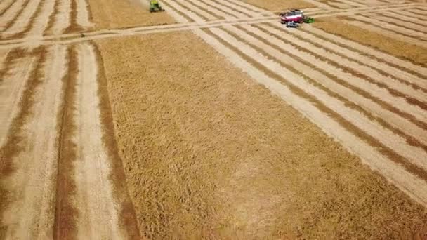 空中无人机视图：日落时在大豆地里工作的联合收割机。收获机司机在农田里收割庄稼.有机大豆种植。农业，收获季节。Quadcopter视频. — 图库视频影像
