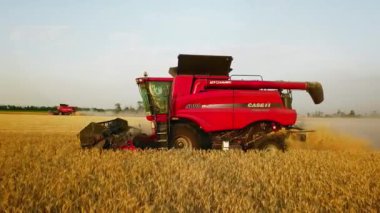 Hava aracı görüntüsü: buğday tarlasında gün batımında çalışan hasatçıları birleştirin. Tarlalarda mahsul kesen makineli sürücüler. Organik tarım. Tarım teması, hasat mevsimi. Quadcopter videosu.