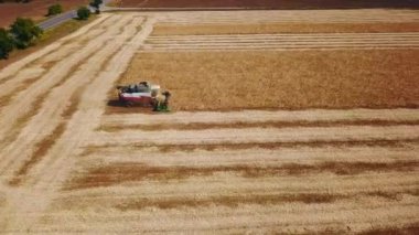 Hava aracı görüntüsü: soya tarlasında gün batımında çalışan hasatçıları birleştirin. Tarlalarda mahsul kesen makineli sürücüler. Organik soya yetiştiriciliği. Tarım, hasat mevsimi. Quadcopter videosu.