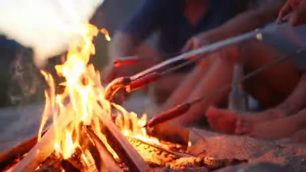 Nahaufnahme von Freunden, die am Lagerfeuer Würstchen braten, Bier trinken und am Sandstrand Gitarre spielen. Junge Gruppe von Männern und Frauen mit Getränken singt in der Abenddämmerung am Lagerfeuer Gitarre. — Stockvideo