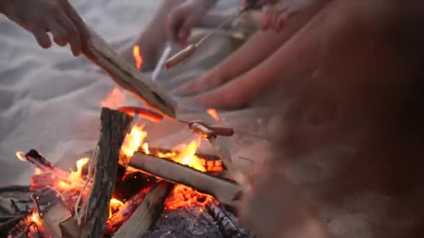 Nært bilde av venner som steker pølser rundt bålet, drikker øl, spiller gitar på sandstranden. Ung gruppe med menn og kvinner som spiller gitar nær bålet i skumringen. – stockvideo