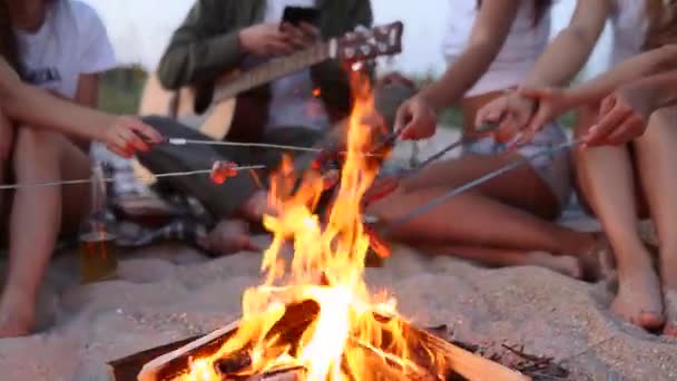 Vedere apropiată a prietenilor prăjind cârnați stând în jurul focului de tabără, bând bere, cântând la chitară pe plaja de nisip. Tânăr grup de bărbați și femei cu băuturi cântând la chitară în apropierea focului de tabără în amurg . — Videoclip de stoc
