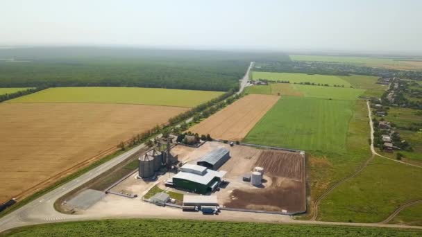 Aérea de ascensor de grano en frente de campo de trigo. Cámara de drones Quadcopter volando alrededor de la planta de harina o molino de aceite. Silos cerca de tierras de cultivo. Tema de la agricultura, una temporada de cosecha. Tiro de seguimiento . — Vídeo de stock