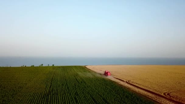 Zdjęcie kombajnu zbożowego pracującego na polu pszenicy w pobliżu klifu z widokiem na morze na zachód słońca. Maszyna do zbioru roślin uprawnych w pobliżu oceanu. Rolnictwo, zbiory. Niesamowity krajobraz malowniczy. — Wideo stockowe