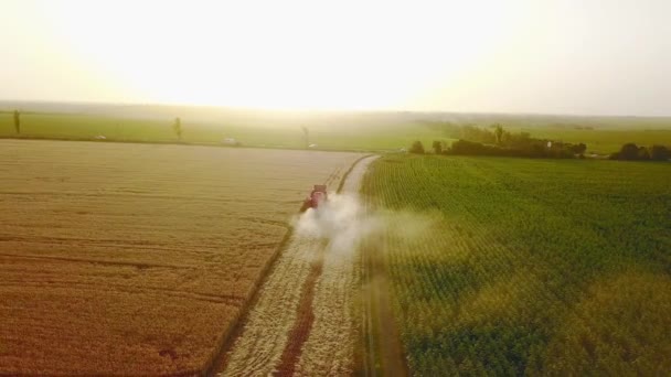 Letecký kombajn pracující na pšeničném poli poblíž útesu s výhledem na moře při západu slunce. Sklizňový stroj kácí úrodu na zemědělské půdě poblíž oceánu. Zemědělství, období sklizně. Úžasná krajina malebná. — Stock video