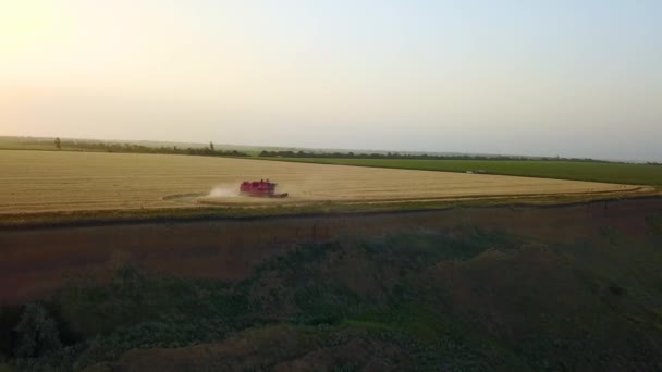 Aérien de moissonneuse batteuse travaillant dans le champ de blé près de falaise avec vue sur la mer au coucher du soleil. Récolte machine de coupe des cultures dans les terres agricoles près de l'océan. Agriculture, saison de récolte. Paysage étonnant pittoresque.