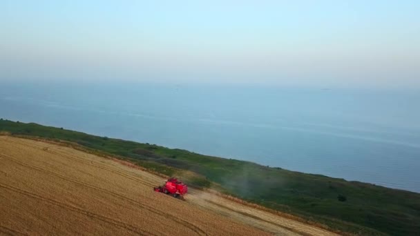 Aérien de moissonneuse batteuse travaillant dans le champ de blé près de falaise avec vue sur la mer au coucher du soleil. Récolte machine de coupe des cultures dans les terres agricoles près de l'océan. Agriculture, saison de récolte. Paysage étonnant pittoresque.