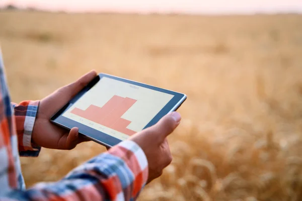精確な農業。農家の手は、コムギ畑にチャート付きのオンラインデータ管理ソフトウェアを使用してタブレットを保持します。農業ビジネスを制御し、分析するためにタッチパソコンの画面で作業する農学者. — ストック写真