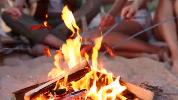 Nahaufnahme von Freunden, die am Lagerfeuer Würstchen braten, Bier trinken und am Sandstrand Gitarre spielen. Junge Gruppe von Männern und Frauen mit Getränken singt in der Abenddämmerung am Lagerfeuer Gitarre. — Stockvideo